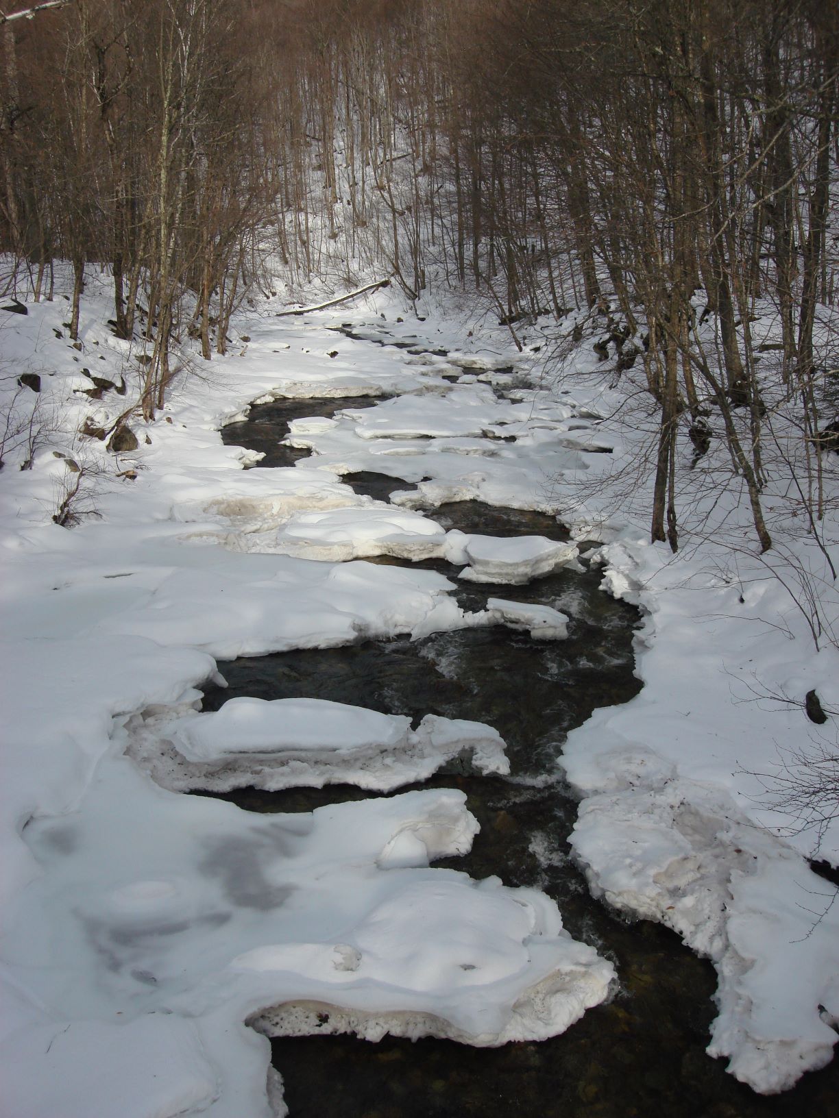 Brattleboro, Vermont In SnowResizedForWebsite
